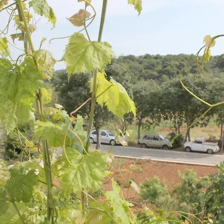 Slavica Apartman Jezera